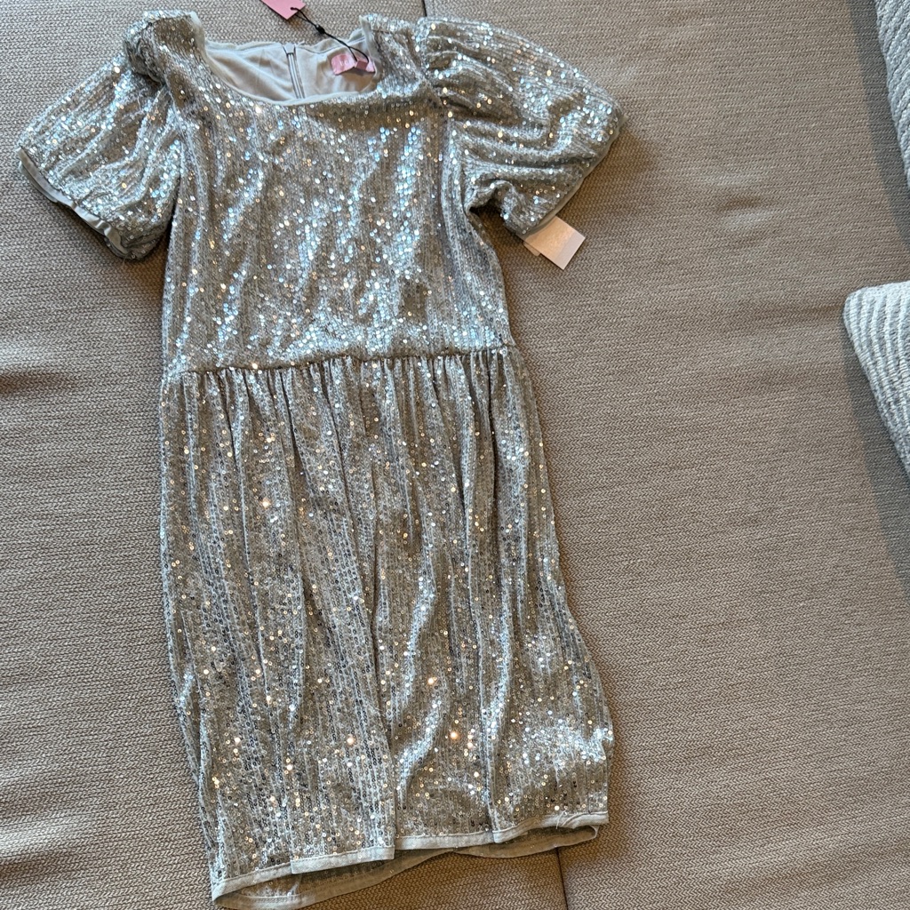 New With Tag Bcbgirls Silver Sequin Puff Sleeve Dress